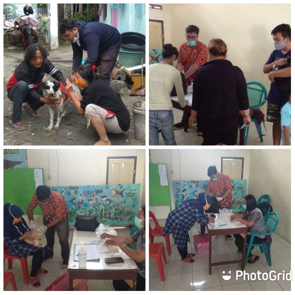 Pelaksanaan Vaksinasi Rabies  hewan peliharaan di Kelurahan Tegalpanggung